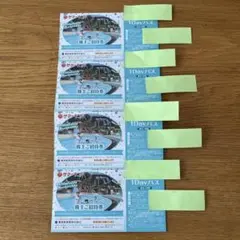 サマーランド 1Dayパス 招待券　4枚セット