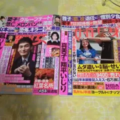 Item thumbnail for item 1c94b101-8fba-4809-b06d-d9d3e8ed6c0c