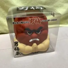 男梅　シリコンポーチ　新品未開封