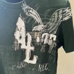 AMERICAN EAGLE OUTFITTERS Tシャツ XS/TP