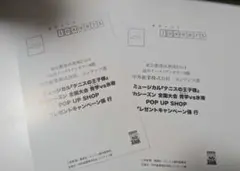 テニミュ　ポップアップ　はがき