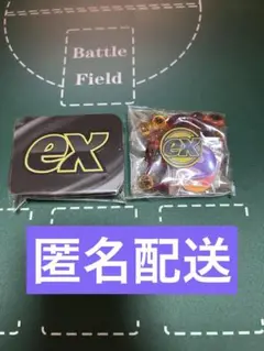 ダメカン、ダメカンケース、コインMEGAプレミアムトレーナーボックス　サプライ