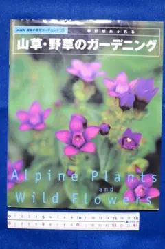 NHK趣味の園芸ガーデニング21「季節感あふれる山草・野草のガーデニング」中古本