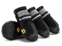 Item thumbnail for item dad7ff69-399d-47f0-a383-1a0d1deda05a