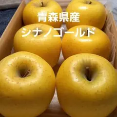 ★期間限定★青森県産 シナノゴールド りんご 家庭用 6~8玉 ㊳