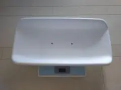 Item thumbnail for item e5ecadcc-3fef-44a0-bf78-0fac84a55d93