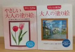 大人の塗り絵 2種セット
