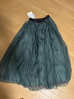 Item thumbnail for item d6e71f52-1e55-4032-8b04-ab46de222a09