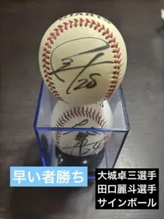 大城卓三選手直筆サイン入り野球ボール 大城卓三選手直筆サイン入り野球ボール