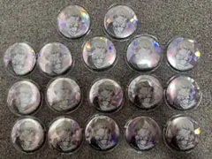 プロセカ 小豆沢こはね セカイの宝石箱缶バッジ 17個セット