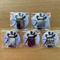 BOØWY ピンズカプセル　５種類