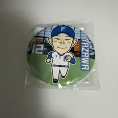 Item thumbnail for item a7a47e2e-5be2-433f-a431-ccc37f8d2fe2