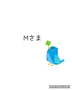 Mさま用