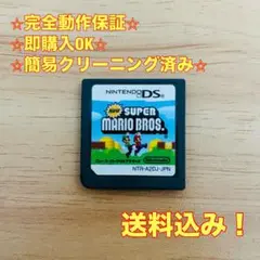 New スーパーマリオブラザーズ DS