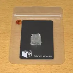 BOXXX KEYCAP THINK_ICY