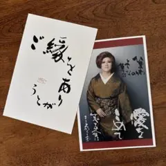 IKKOさん　ハガキサイズカード2枚セット