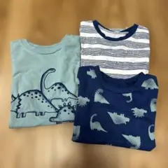 恐竜柄 ボーダーTシャツ3枚セット（100サイズ）