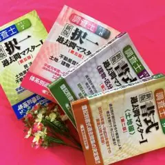 調査士択一過去問マスター〈Ⅰ〉民法、土地家屋調査士法、不動産登記法/総論