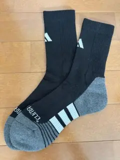 Item thumbnail for item bad99089-be02-4e62-b000-94df3d458412