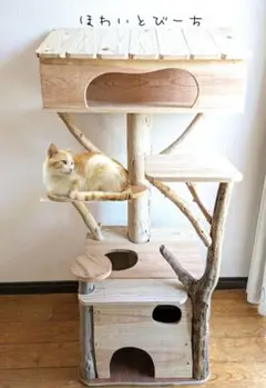 流木キャットタワー【空の部屋】高さ180cm Amazon | 猫家族 キャットタワー 木製 高さ180cmスリムタワー