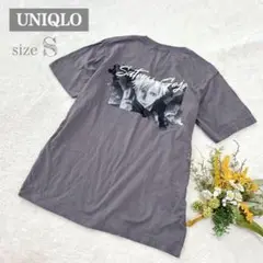 【ユニクロ】UNIQLO×呪術廻戦 メンズ 五条悟デザインTシャツ 半袖 S