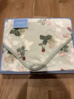 Item thumbnail for item e22ead18-5bbb-42a2-871f-a6ac8cedd586