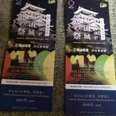 チームラボ 福山城 光の祭