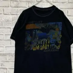 USA製90sヴィンテージTシャツ！シングルステッチ　ブラック半袖古着L 21