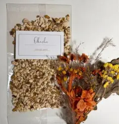 Item thumbnail for item f0778359-83c8-4951-b3e9-4b116514dcbd