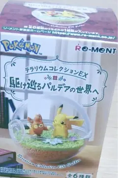 世*作様 新品未開封】ポケモン テラリウムEX パルデア 1個 ランダム