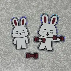 SEVENTEEN MINITEEN STICKER エスクプス