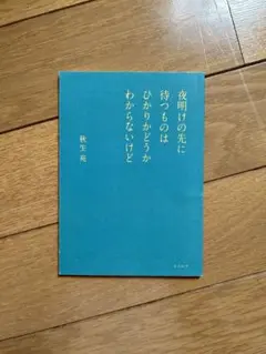 夜明けの先に待つものはひかりかどうかわからないけど