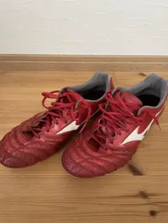 Mizuno モナルシーダネオ