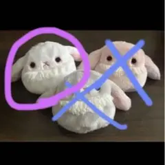 らびだんご しろっぷ