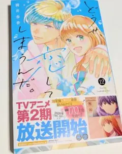 どうして恋してしまったんだ。 12巻