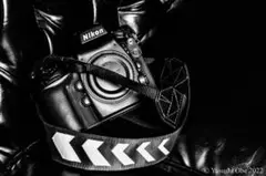 Item thumbnail for item 94235ad0-5d39-4348-aaf1-aaff454d6b9a