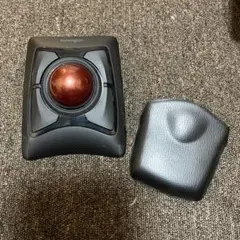 Item thumbnail for item 55061905-0c6f-4f6b-b942-deebbc2444d3