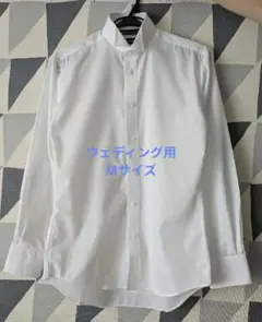 Item thumbnail for item 2186369d-8069-4421-a520-98e9fa015479