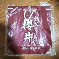 櫻井太傅治商店 桜井賢 ALFEE アルフィー