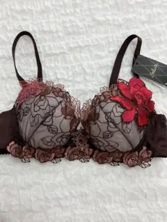 新品ワコールサルート　76グループ　ブラジャー　D75