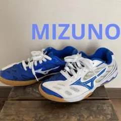 ミズノ シューズ