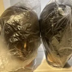 Item thumbnail for item 15fa04a1-4083-4119-b79c-95daed596b54