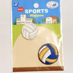 スポーツワッペン バレーボール 新品☆