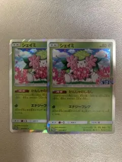 【ポケモンカード】 シェイミ しょこたんイラスト