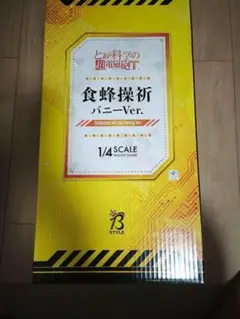 とある科学の超電磁砲T 食蜂操祈 バニーVer. フリーイング