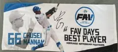北海道日本ハムファイターズ　万波中正　FAV限定