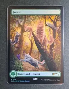 MTG SLD 森 猫 ホイル 英語 土地 1515