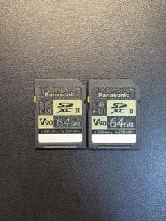 Panasonic 64GB SDXC 2枚セット