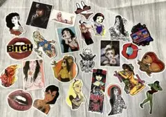セクシーガールアニメキャラクター ステッカー25枚セット