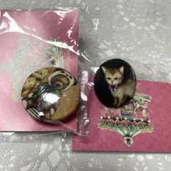 yukiemonくるみボタン　ノベルティ　セット　ユキエモン　未使用品　新品